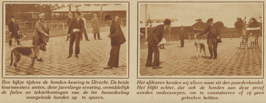 873196 Collage van 2 foto's betreffende de keuring van Duitse herdershonden, georganiseerd door de Utrechtsche Duitsche ...